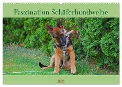 Faszination Schäferhundwelpe (Wandkalender 2024 DIN A2 quer), CALVENDO Monatskalender