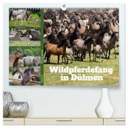 Faszination Wildpferdefang in Dülmen (hochwertiger Premium Wandkalender 2024 DIN A2 quer), Kunstdruck in Hochglanz