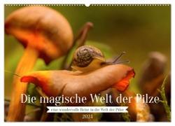 Die magische Welt der Pilze (Wandkalender 2024 DIN A2 quer), CALVENDO Monatskalender