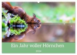Ein Jahr voller Hörnchen (Wandkalender 2024 DIN A2 quer), CALVENDO Monatskalender