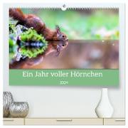 Ein Jahr voller Hörnchen (hochwertiger Premium Wandkalender 2024 DIN A2 quer), Kunstdruck in Hochglanz