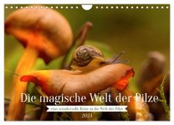 Die magische Welt der Pilze (Wandkalender 2024 DIN A4 quer), CALVENDO Monatskalender