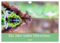 Ein Jahr voller Hörnchen (Wandkalender 2024 DIN A4 quer), CALVENDO Monatskalender