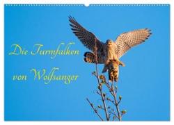 Die Turmfalken von Wolfsanger (Wandkalender 2024 DIN A2 quer), CALVENDO Monatskalender