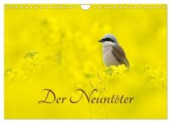 Der Neuntöter (Wandkalender 2024 DIN A4 quer), CALVENDO Monatskalender