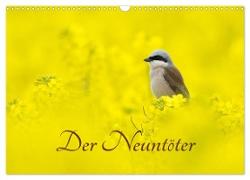 Der Neuntöter (Wandkalender 2024 DIN A3 quer), CALVENDO Monatskalender