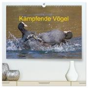 Kämpfende Vögel (hochwertiger Premium Wandkalender 2024 DIN A2 quer), Kunstdruck in Hochglanz