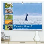 Kanadas Tierwelt - Bären, Wale und vieles mehr (hochwertiger Premium Wandkalender 2024 DIN A2 quer), Kunstdruck in Hochglanz