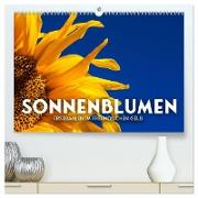 Sonnenblumen - Erstrahlen im freundlichen Gelb. (hochwertiger Premium Wandkalender 2024 DIN A2 quer), Kunstdruck in Hochglanz