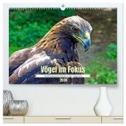 Vögel im Fokus - Ausdrucksstarke Vielfalt in der Vogelwelt (hochwertiger Premium Wandkalender 2024 DIN A2 quer), Kunstdruck in Hochglanz