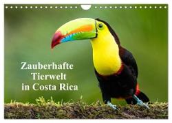 Zauberhaft Tierwelt in Costa Rica (Wandkalender 2024 DIN A4 quer), CALVENDO Monatskalender
