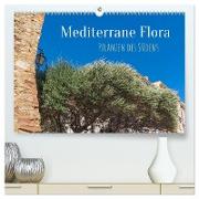 Mediterrane Flora - Pflanzen des Südens (hochwertiger Premium Wandkalender 2024 DIN A2 quer), Kunstdruck in Hochglanz