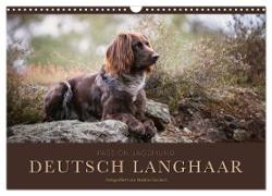 Passion Jagdhund - Deutsch Langhaar (Wandkalender 2024 DIN A3 quer), CALVENDO Monatskalender