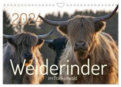 Weiderinder im Frankenwald (Wandkalender 2024 DIN A4 quer), CALVENDO Monatskalender