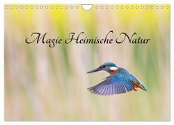 Magie Heimische Natur (Wandkalender 2024 DIN A4 quer), CALVENDO Monatskalender