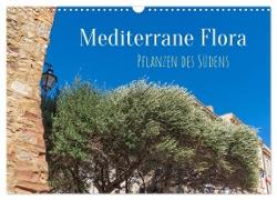 Mediterrane Flora - Pflanzen des Südens (Wandkalender 2024 DIN A3 quer), CALVENDO Monatskalender