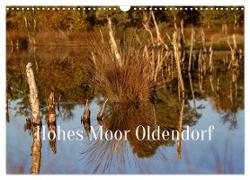 Hohes Moor Oldendorf (Wandkalender 2024 DIN A3 quer), CALVENDO Monatskalender