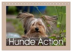 Hunde Action (Tischkalender 2024 DIN A5 quer), CALVENDO Monatskalender