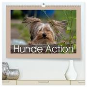 Hunde Action (hochwertiger Premium Wandkalender 2024 DIN A2 quer), Kunstdruck in Hochglanz
