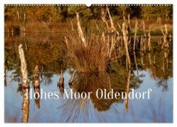 Hohes Moor Oldendorf (Wandkalender 2024 DIN A2 quer), CALVENDO Monatskalender