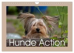 Hunde Action (Wandkalender 2024 DIN A4 quer), CALVENDO Monatskalender