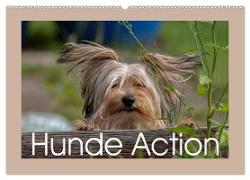 Hunde Action (Wandkalender 2024 DIN A2 quer), CALVENDO Monatskalender