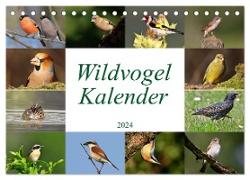 Wildvogelkalender (Tischkalender 2024 DIN A5 quer), CALVENDO Monatskalender