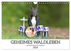 Geheimes Waldleben (Wandkalender 2024 DIN A4 quer), CALVENDO Monatskalender