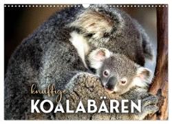 Knuffige Koalabären (Wandkalender 2024 DIN A3 quer), CALVENDO Monatskalender