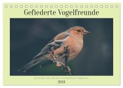 Gefiederte Vogelfreunde (Tischkalender 2024 DIN A5 quer), CALVENDO Monatskalender