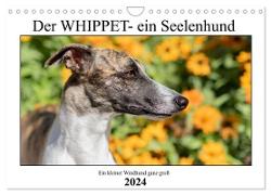 Der Whippet - ein Seelenhund (Wandkalender 2024 DIN A4 quer), CALVENDO Monatskalender