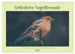 Gefiederte Vogelfreunde (Wandkalender 2024 DIN A3 quer), CALVENDO Monatskalender