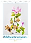 Blütenmetamorphosen (Wandkalender 2024 DIN A4 hoch), CALVENDO Monatskalender