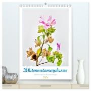 Blütenmetamorphosen (hochwertiger Premium Wandkalender 2024 DIN A2 hoch), Kunstdruck in Hochglanz