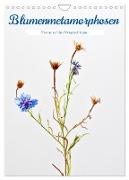Blumenmetamorphosen (Wandkalender 2024 DIN A4 hoch), CALVENDO Monatskalender