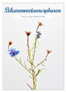 Blumenmetamorphosen (Wandkalender 2024 DIN A3 hoch), CALVENDO Monatskalender