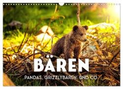 Bären - Pandas, Grizzlybären und Co. (Wandkalender 2024 DIN A3 quer), CALVENDO Monatskalender