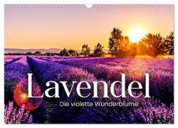 Lavendel - Die violette Wunderblume (Wandkalender 2024 DIN A3 quer), CALVENDO Monatskalender