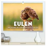 Eulen - Wachsame und geheimnisvolle Augen (hochwertiger Premium Wandkalender 2024 DIN A2 quer), Kunstdruck in Hochglanz