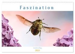 Faszination Insektenflug (Wandkalender 2024 DIN A2 quer), CALVENDO Monatskalender