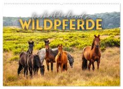 Freiheitsliebende Wildpferde (Wandkalender 2024 DIN A2 quer), CALVENDO Monatskalender