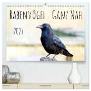Rabenvögel - ganz nah (hochwertiger Premium Wandkalender 2024 DIN A2 quer), Kunstdruck in Hochglanz
