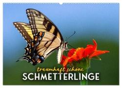 Traumhaft schöne Schmetterlinge (Wandkalender 2024 DIN A2 quer), CALVENDO Monatskalender