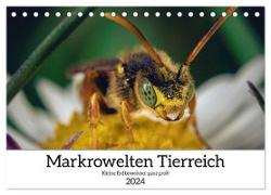 Makrowelten Tierreich (Tischkalender 2024 DIN A5 quer), CALVENDO Monatskalender