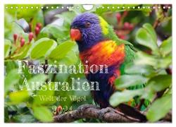 Faszination Australien - Welt der Vögel (Wandkalender 2024 DIN A4 quer), CALVENDO Monatskalender