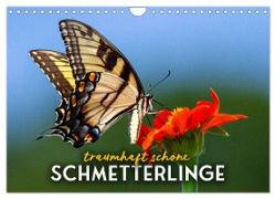 Traumhaft schöne Schmetterlinge (Wandkalender 2024 DIN A4 quer), CALVENDO Monatskalender