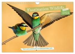 Faszination Wildlife (Wandkalender 2024 DIN A4 quer), CALVENDO Monatskalender