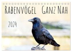 Rabenvögel - ganz nah (Tischkalender 2024 DIN A5 quer), CALVENDO Monatskalender