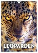 Leoparden - Die Beute im Visier. (Wandkalender 2024 DIN A4 hoch), CALVENDO Monatskalender