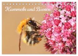 Hummeln und Bienen (Tischkalender 2024 DIN A5 quer), CALVENDO Monatskalender